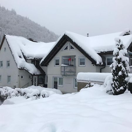 Ferienwohnung Ella, 95Qm, Terrasse Todtnau Exterior photo